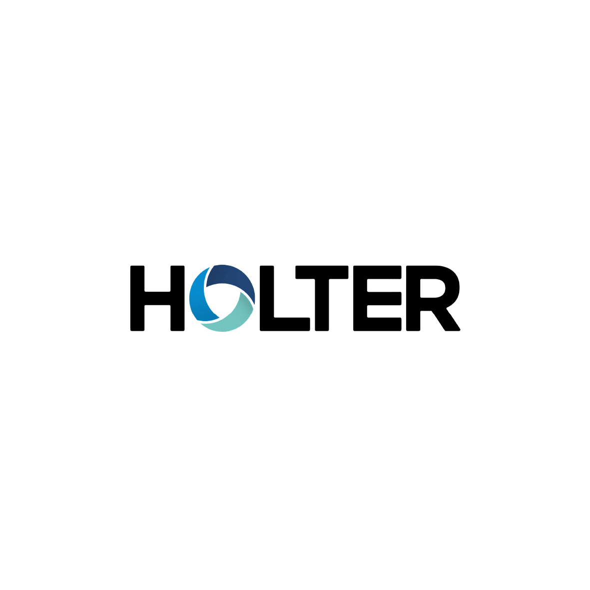 STEIRERTECH Haustechnik - Holter Logo REFERENZEN Alles rund um Heizung, Wasser, Lüftung und Elektro